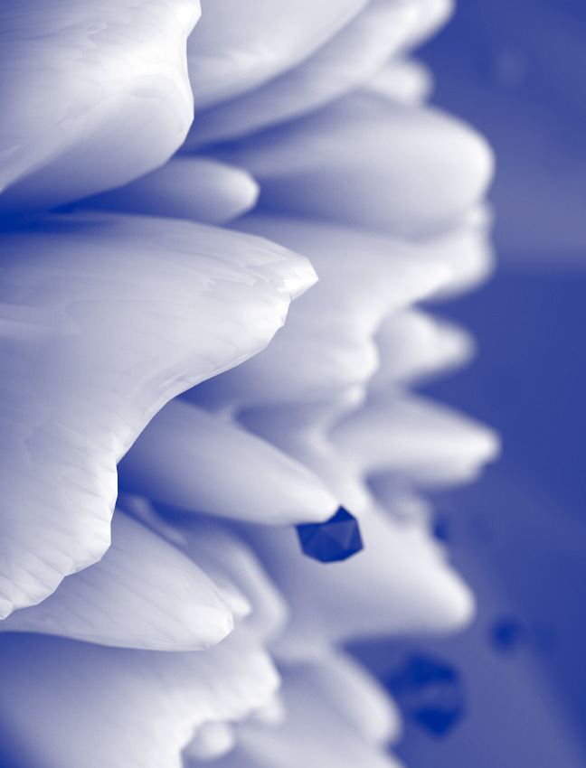 3D Depth of Field